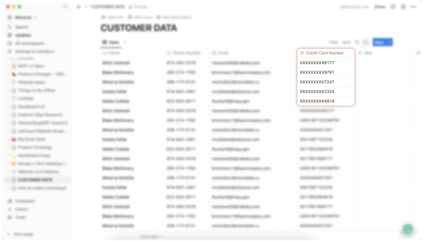 Customer data found in Notion