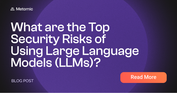 What are the Top Security Risks of Using Large Language Models (LLMs)?